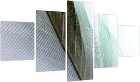 Obraz - Pióra, makro (125x70 cm)
