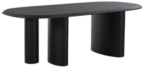 Stół z blatem w dekorze jesionu 100x220 cm Tirano – House Nordic