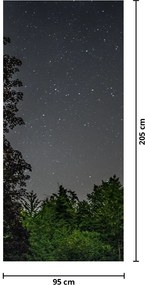 Fototapeta na drzwi - Nocne niebo (95x205cm)