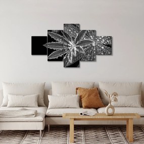 Obraz - Krople (125x70 cm)