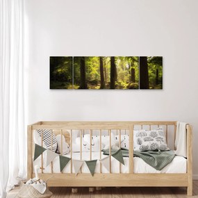 Obraz sennego lasu (170x50 cm)