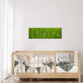 Obraz trawy (z zegarem) (90x30 cm)