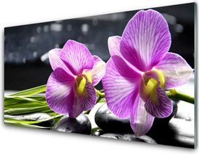 Szkło do Kuchni na Ścianę Feeria Kwiatowych Barw