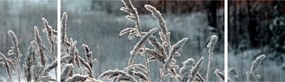 Obraz - Frozen Meadow (170x50 cm)