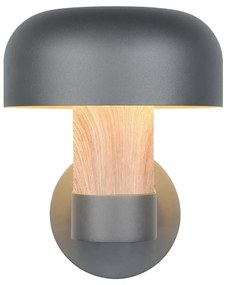 Zewnętrzna lampa ścienna (wysokość 24,5 cm) Fraser – Trio