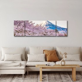 Obraz - Japonia wiosną (170x50 cm)