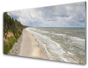 Panel Kuchenny Plaża Morze Drzewo Natura