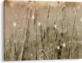 Obraz - Harmonious Meadow (70x50 cm)