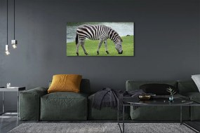 Obraz drukowany na płótnie Portret Zebry