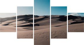 Obraz - Z pustyni (125x70 cm)