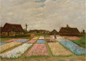 Obraz na szkle - Vincent van Gogh, Flower Beds in Holland, reprodukcje (70x50 cm)