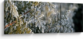 Obraz - Detal gałęzi (z zegarem) (90x30 cm)