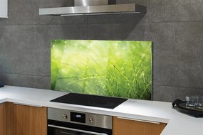 Szklany Panel Świeżość Rosy na Trawie