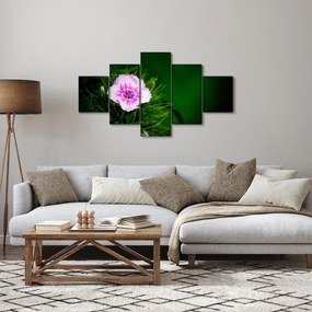 Obraz kwiatu róży (125x70 cm)