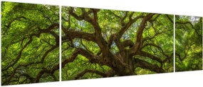 Obraz - Zielone drzewo (170x50 cm)