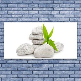 Fotoobraz na płótnie Harmonia Kamieni Rzecznych