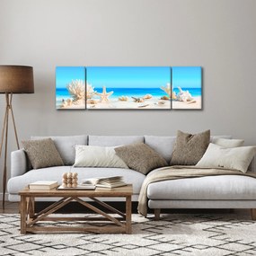 Obraz - Martwa natura z muszelkami (170x50 cm)