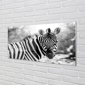 Panel szklany do Kuchni Zebra w Stylu Retro