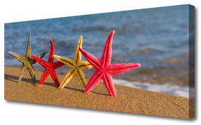 Obraz na Płótnie Plaża Rozgwiazda Sztuka