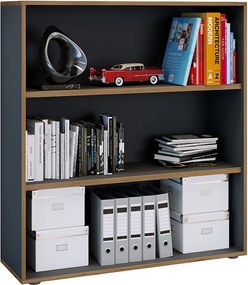 Półki Książki Folder Plik Shelf Salia 3f