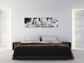 Obraz - Letnia łąka (170x50 cm)