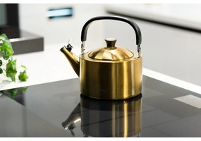 Czajnik ze stali nierdzewnej w kolorze złota 1,5 l Diamante – Vialli Design