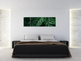 Obraz - Szczegół arkusza (170x50 cm)