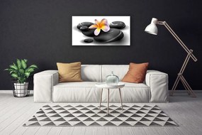 Obraz na płótnie Kwiaty i Kamienie Zen