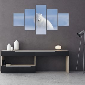 Obraz - Lis polarny (125x70 cm)
