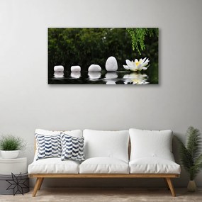 Zdjęcie na płótnie Lilia Wodna na Jeziorze