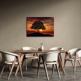 Obraz drzewa o zachodzie słońca (70x50 cm)