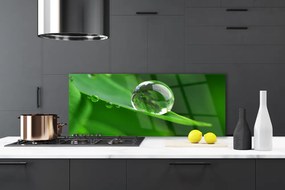 Panel Kuchenny Krople Rosy Na Liściu