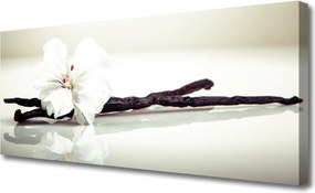 Obraz canvas Subtelna Elegancja Kwiatu