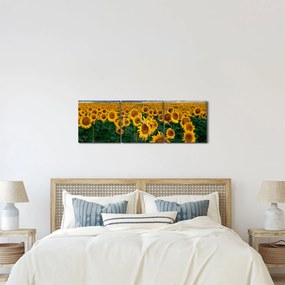 Obraz pola słoneczników (z zegarem) (90x30 cm)