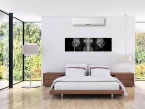 Obraz - Słoń na czarnym tle (170x50 cm)