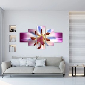 Obraz - Kwiat tulipana w szczegółach (125x70 cm)