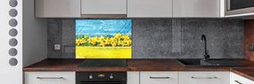 Panel szklany do kuchni Żonkile