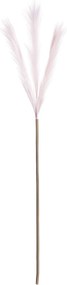 Trawa pampasowa 100cm light pink