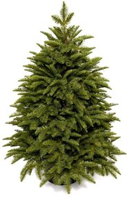 Choinka sztuczna w doniczce 100% PE Jodła Kaukaska 100cm