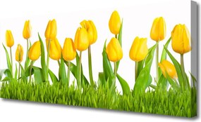 Fotoobraz na płótnie Elegancja Czerwonych Tulipanów