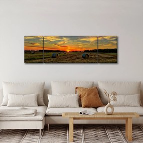 Obraz - Wiejskie bale (170x50 cm)