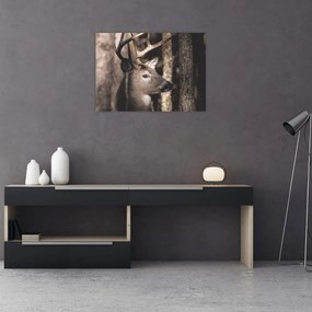 Obraz na szkle - Jeleń w lesie (70x50 cm)