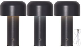 Szara lampa stołowa LED (wysokość 21,5 cm) Bobby – Star Trading