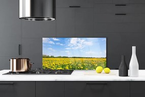 Panel Szklany do Kuchni Słoneczna Łąka Mniszków