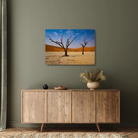 Obraz na szkle - Dolina Śmierci (70x50 cm)