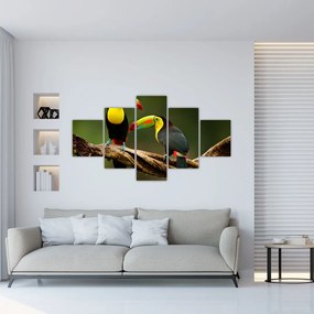 Obraz siedzących tukanów, Kostaryka (125x70 cm)