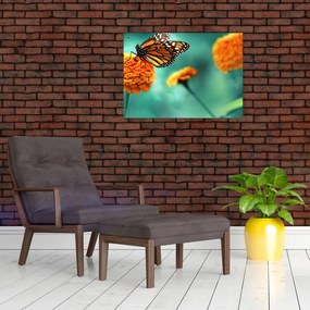 Obraz na szkle motyla (70x50 cm)