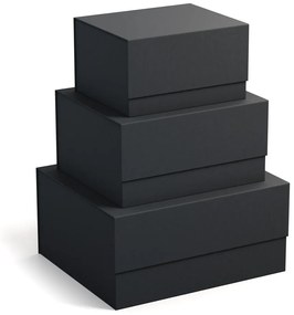 Kartonowe pojemniki z pokrywką zestaw 3 szt. Ilse – Bigso Box of Sweden