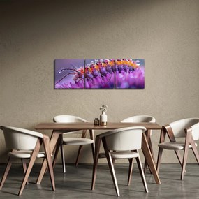 Obraz - Caterpillar (z zegarem) (90x30 cm)