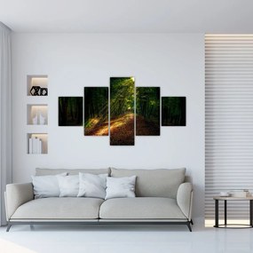 Obraz leśnej ścieżki (125x70 cm)